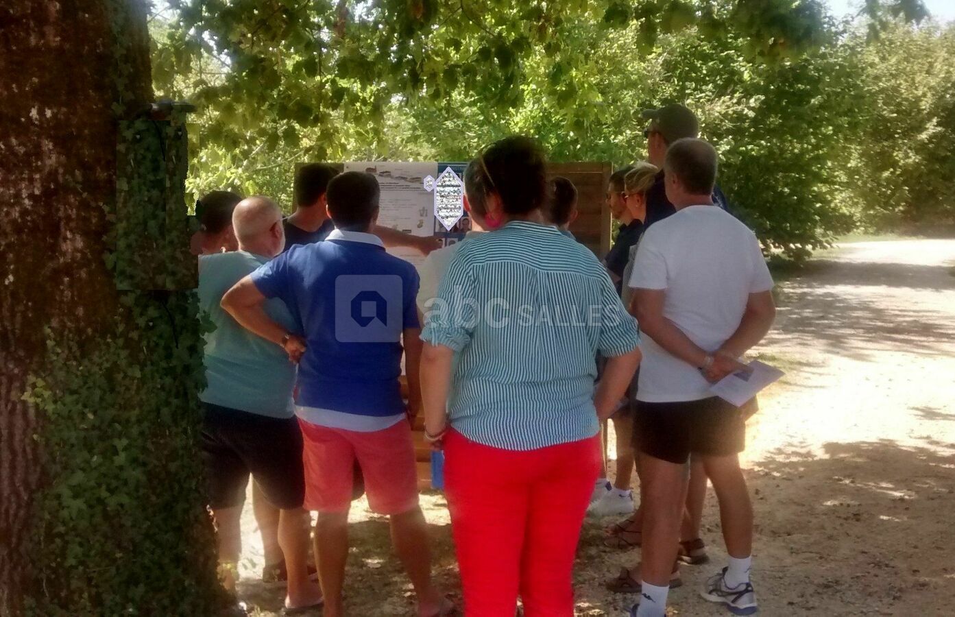 Réunion de travail en plein air