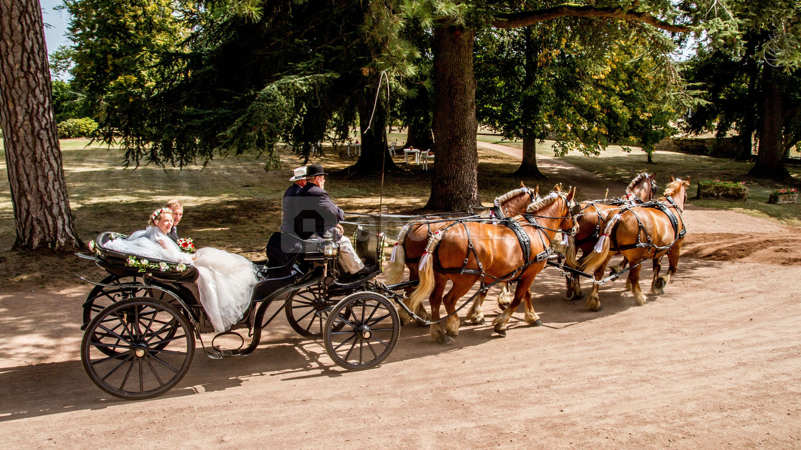 L'arrivée des mariés en calèche
