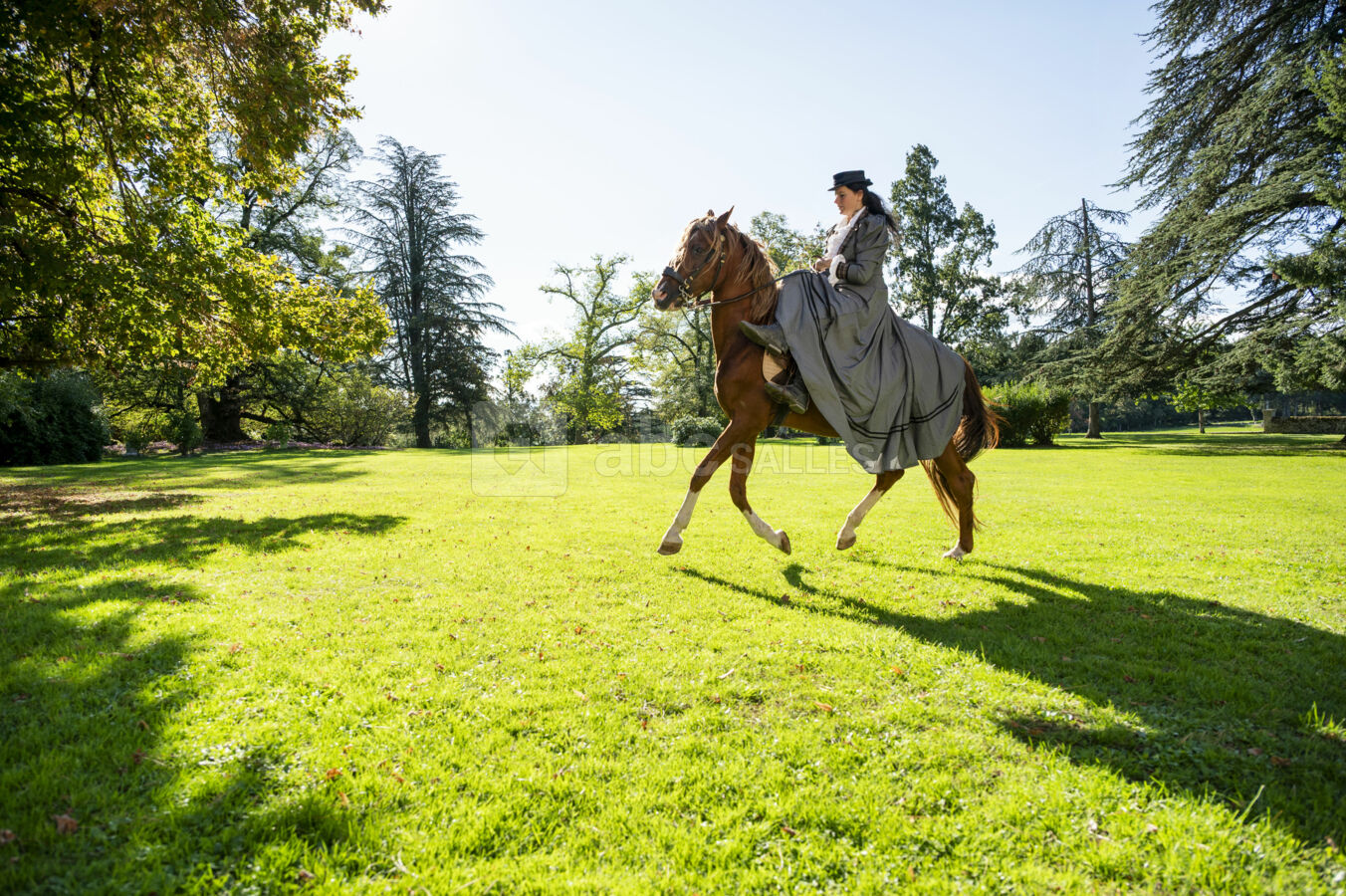 Château de Chaumont-Laguiche
