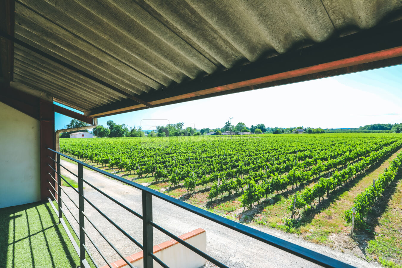 Salle des vignes vue balcon