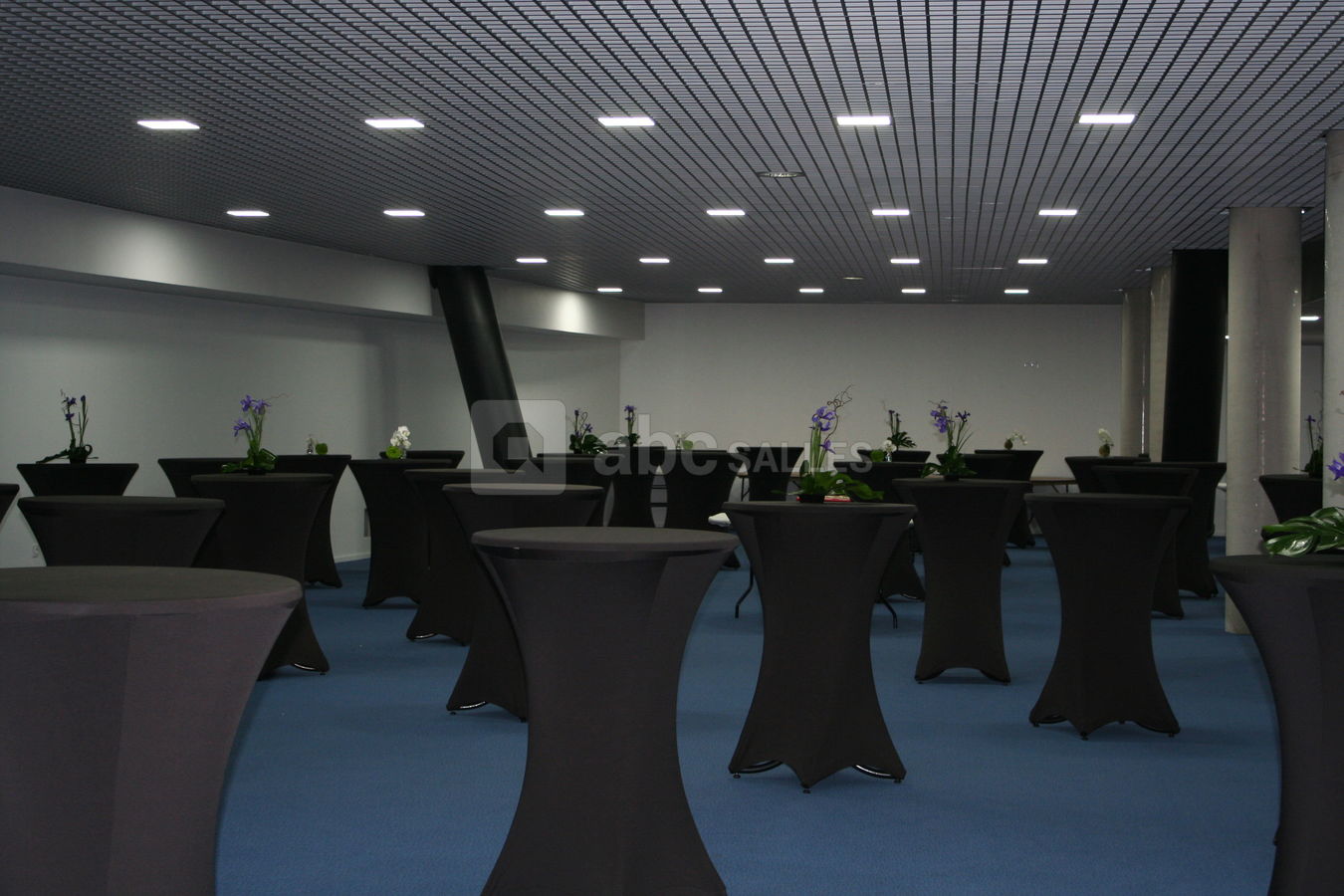 Salle de réception 2