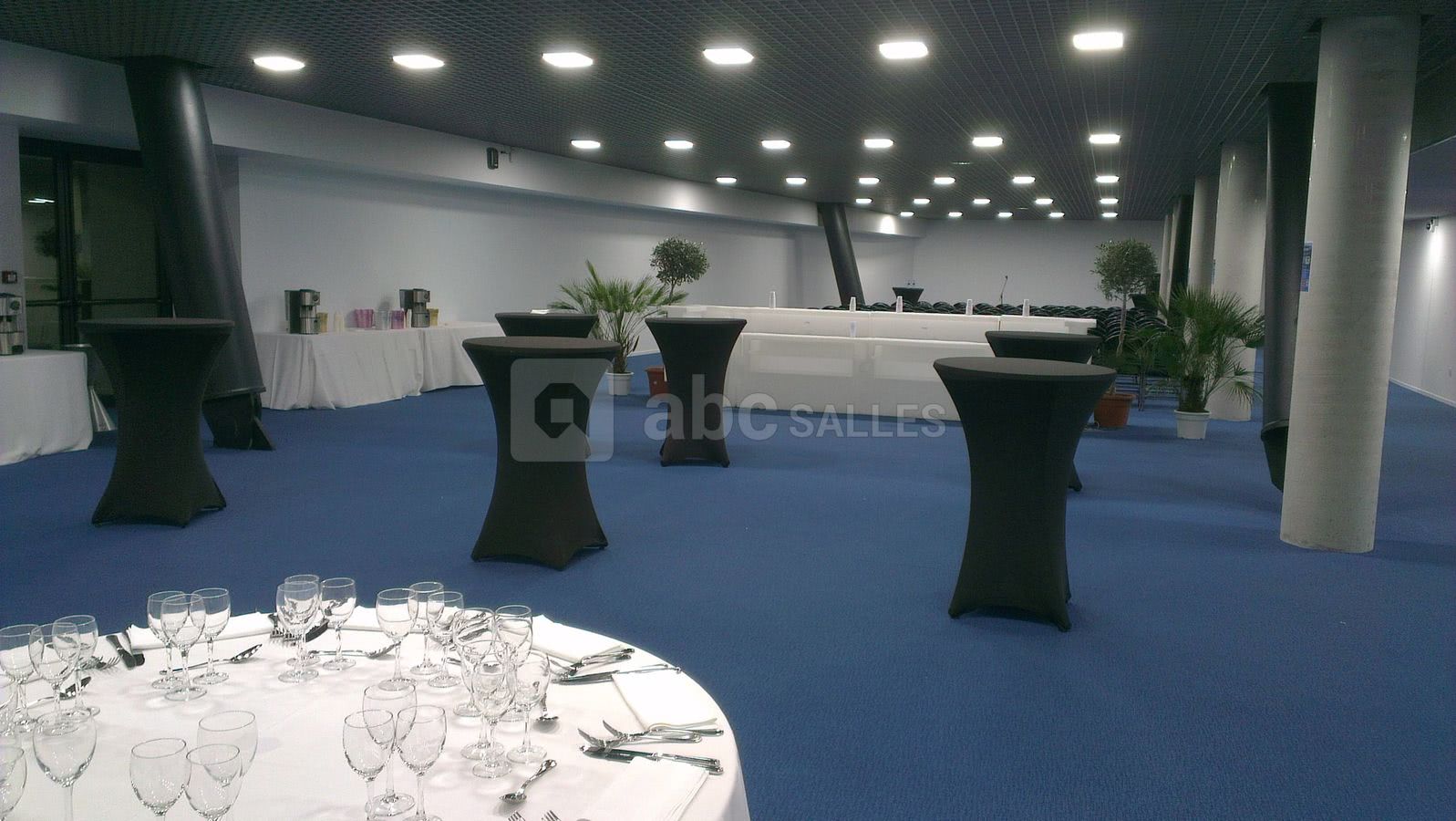 Salle de réception 4