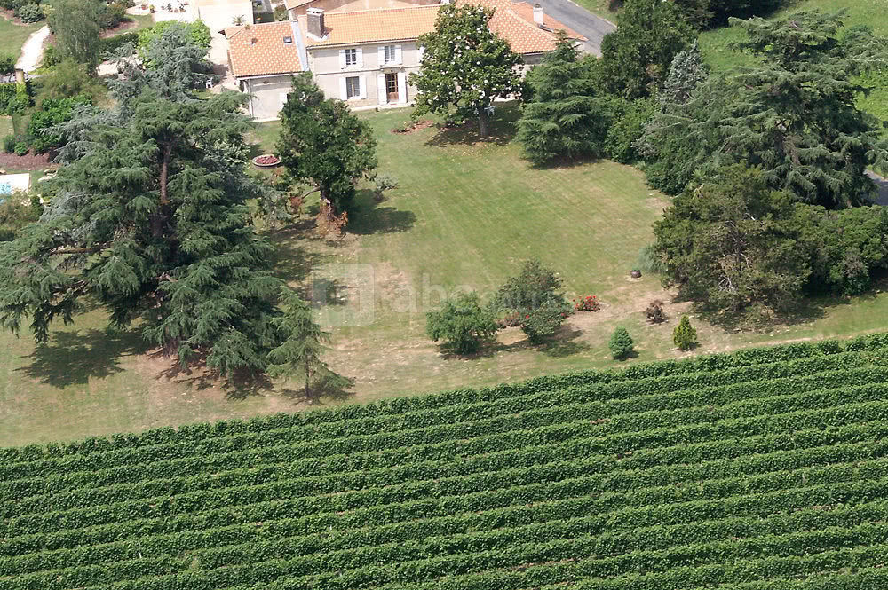 Vue aérienne du magnolia
