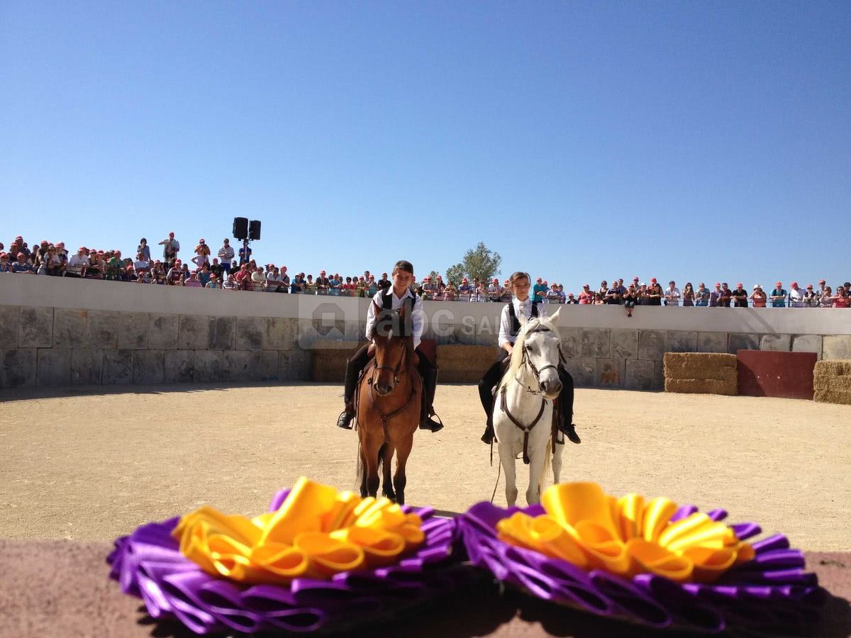 Spectacle equestre