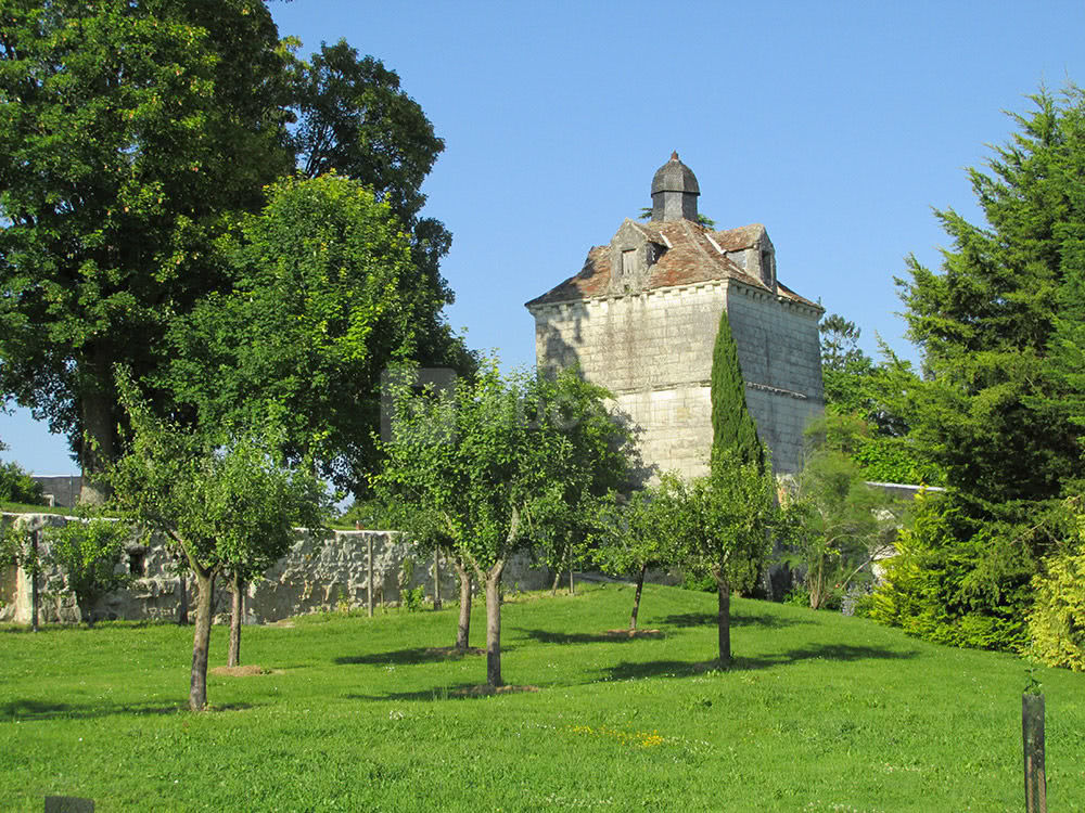 Le pigeonnier vu du verger
