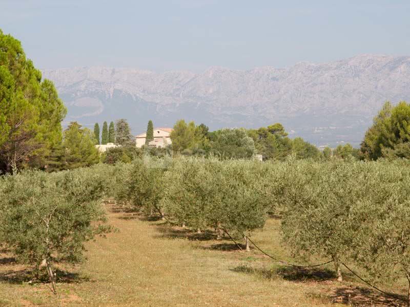 Domaine de La Pommé