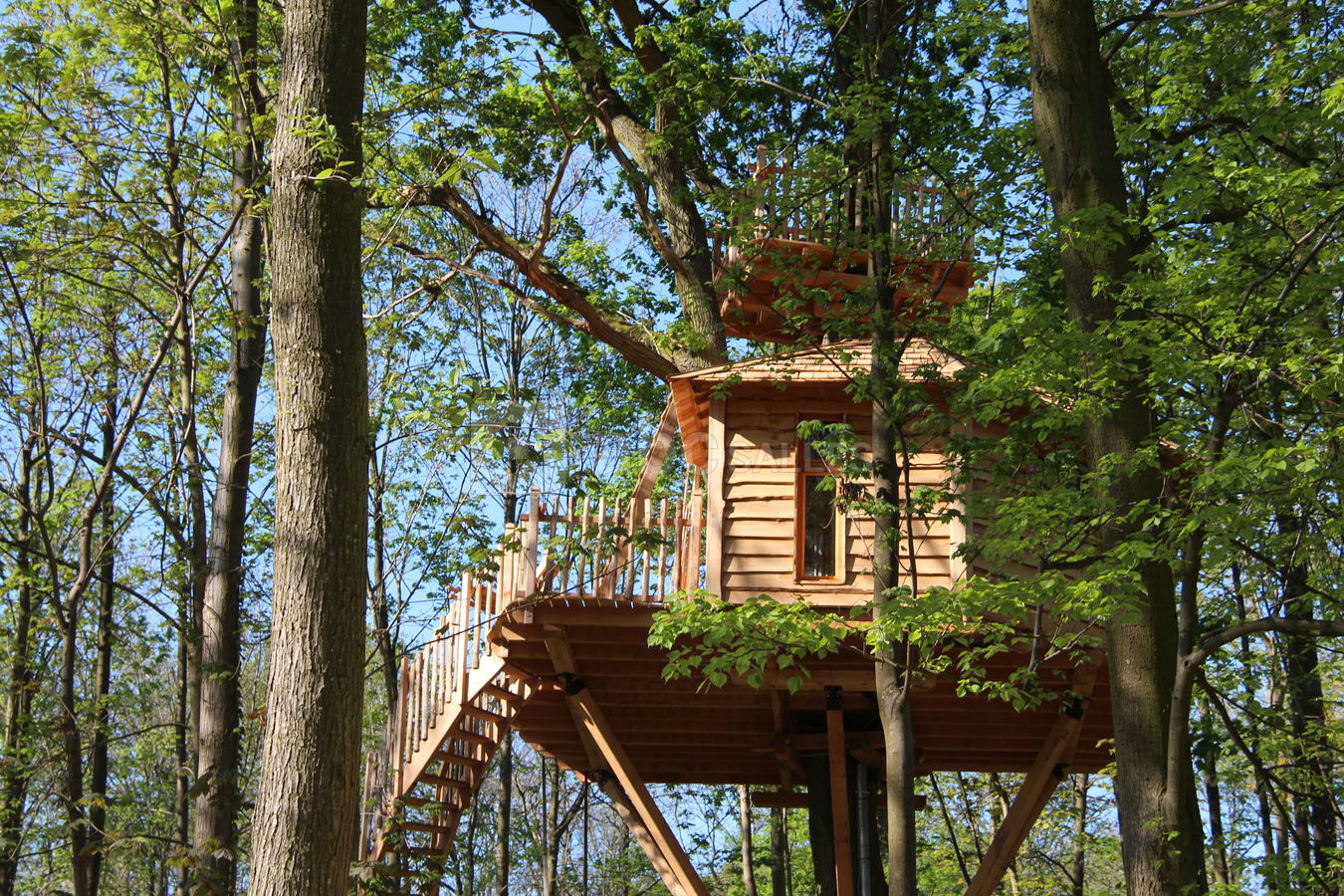 Les Cabanes des Grands Chênes