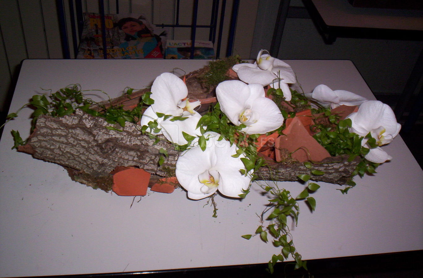Décoration orchidées