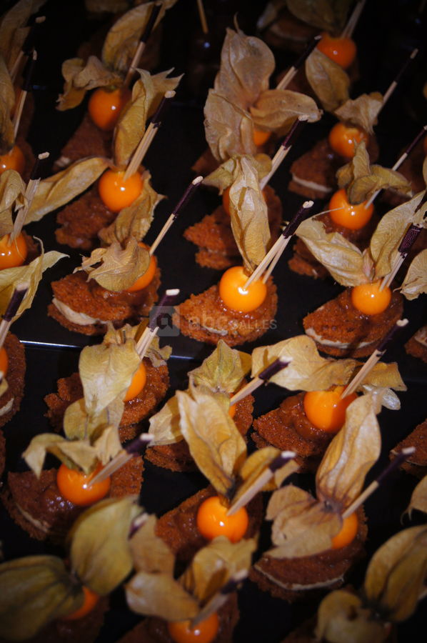 Pic foie gras pain d'épices