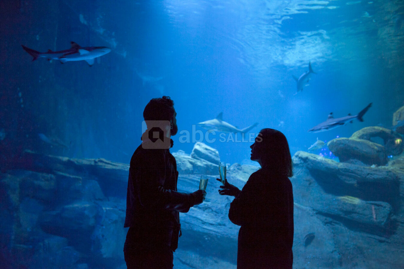 Les salons de l'Aquarium de Paris