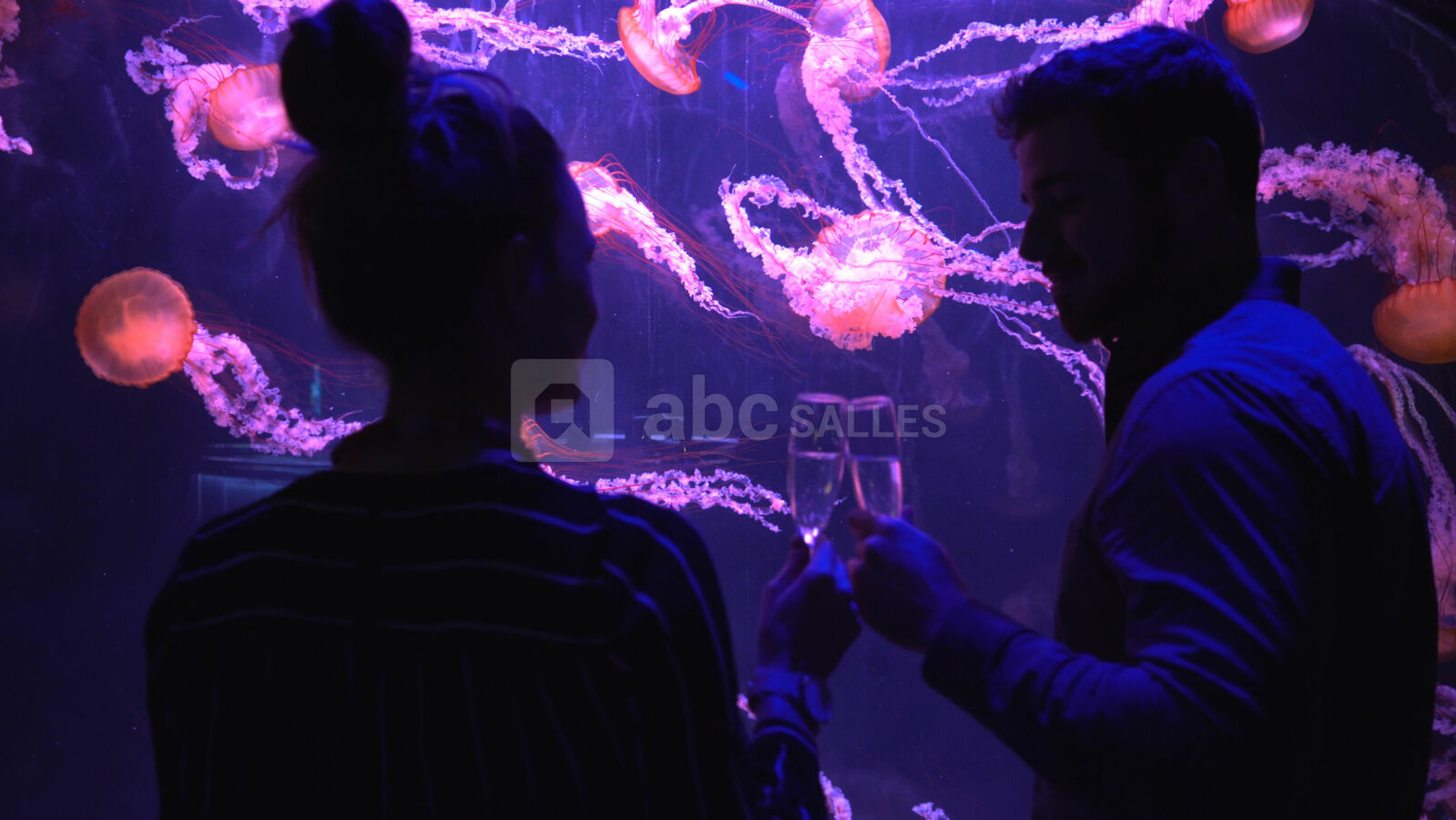 Les salons de l'Aquarium de Paris