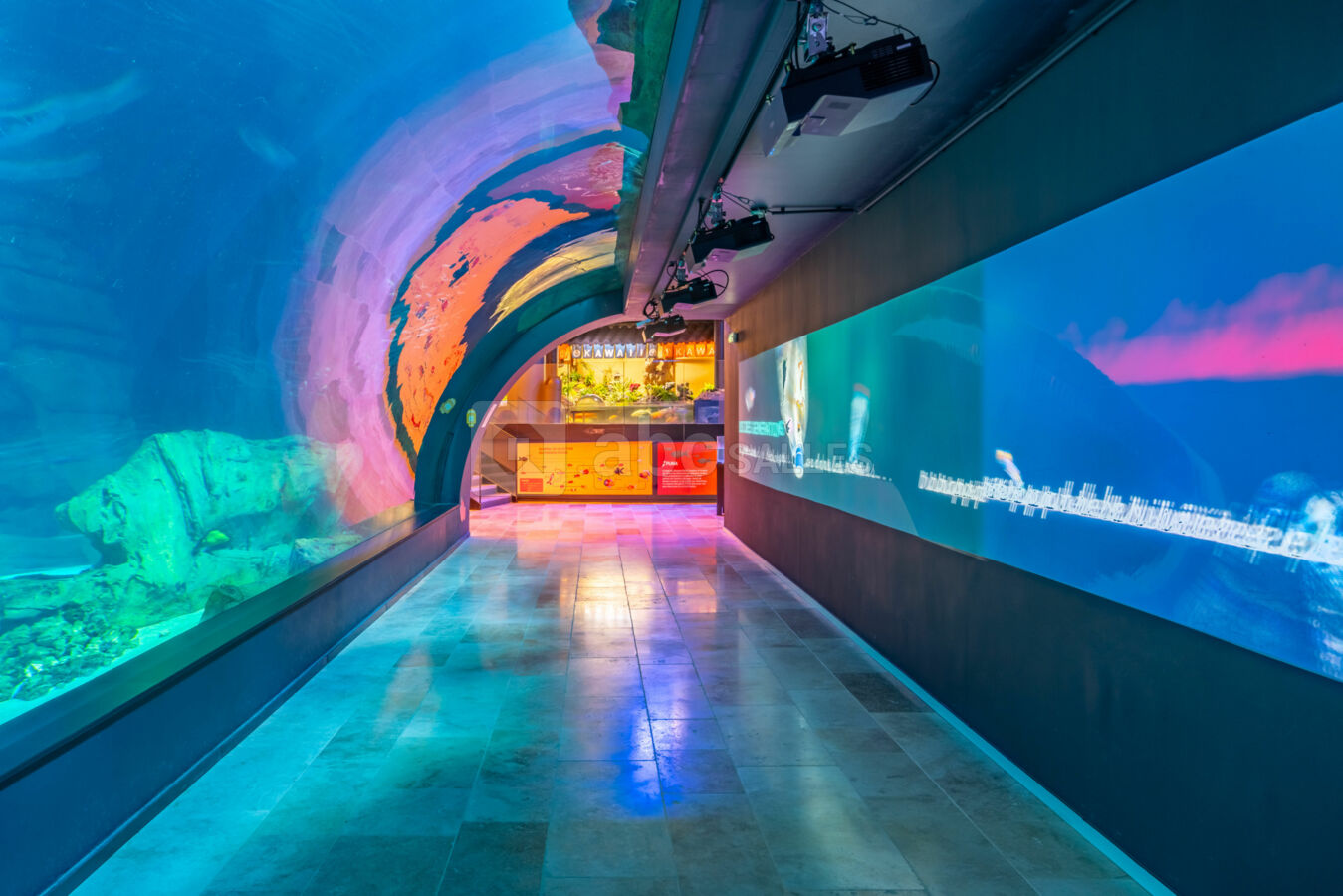 Les salons de l'Aquarium de Paris