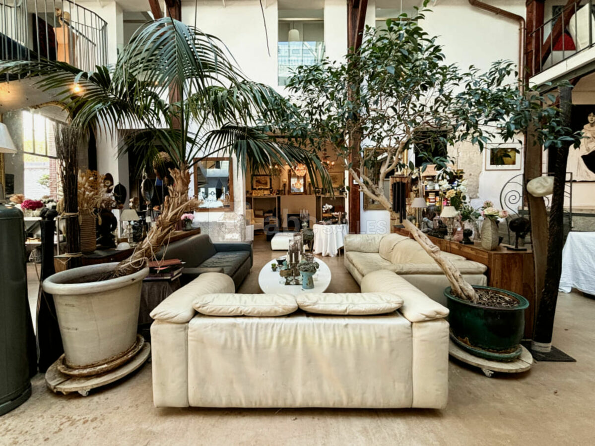 Salon espace central