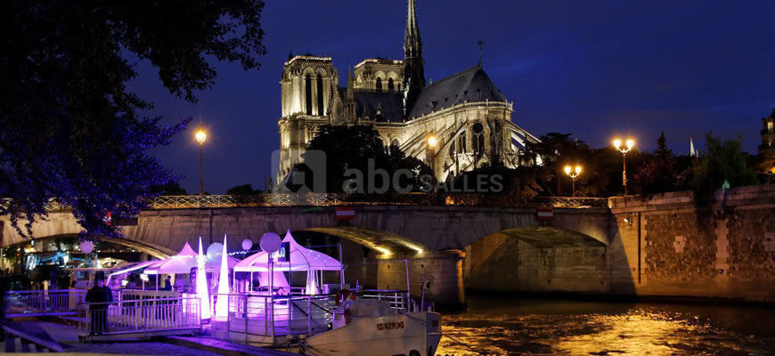 Vue sur Notre-Dame Paris