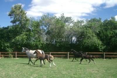 Le Château d'Émalleville