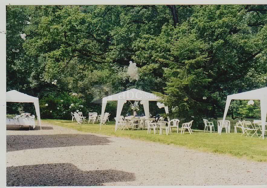 Les bords de l'étang