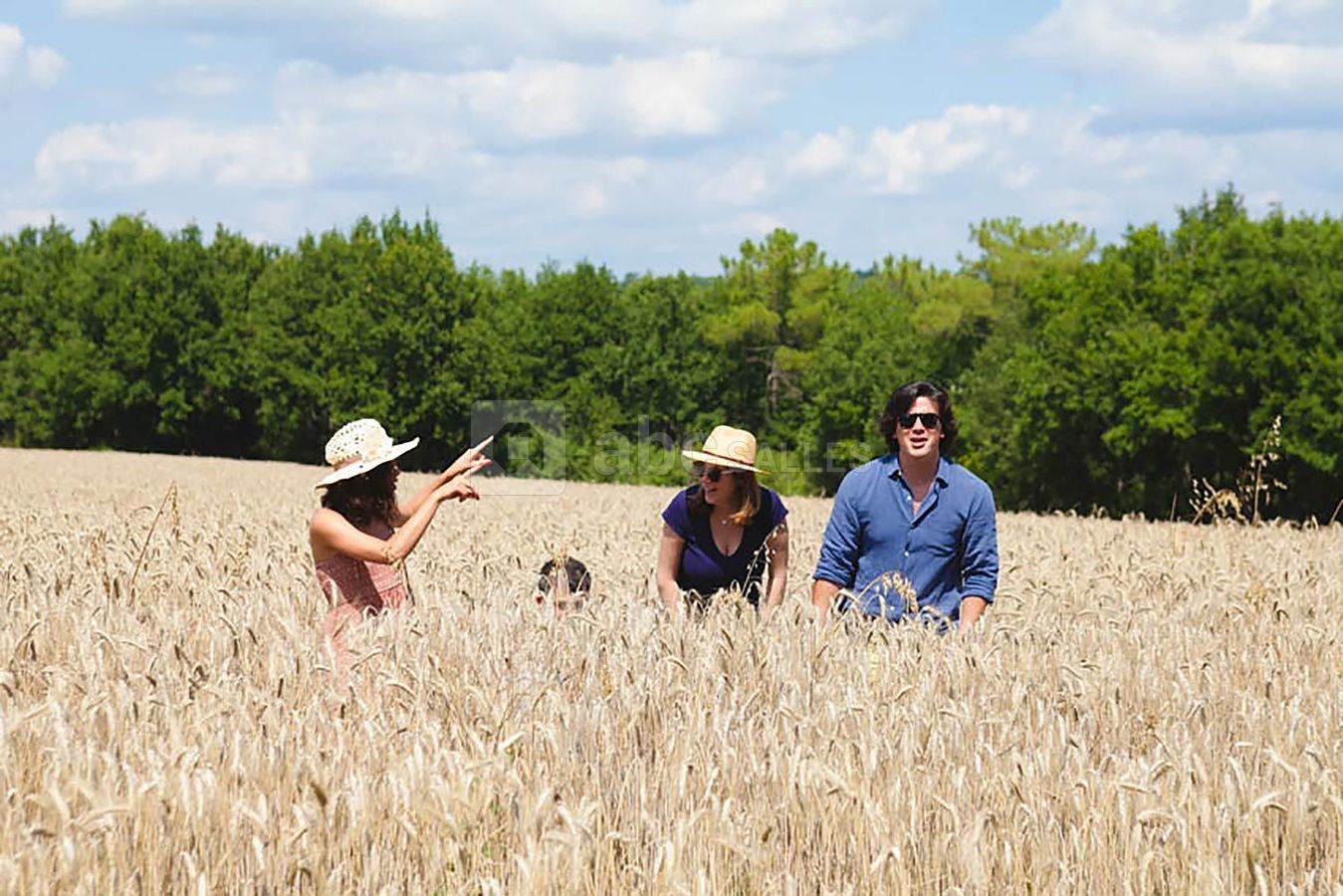 Séance photo au Domaine de Pémejot