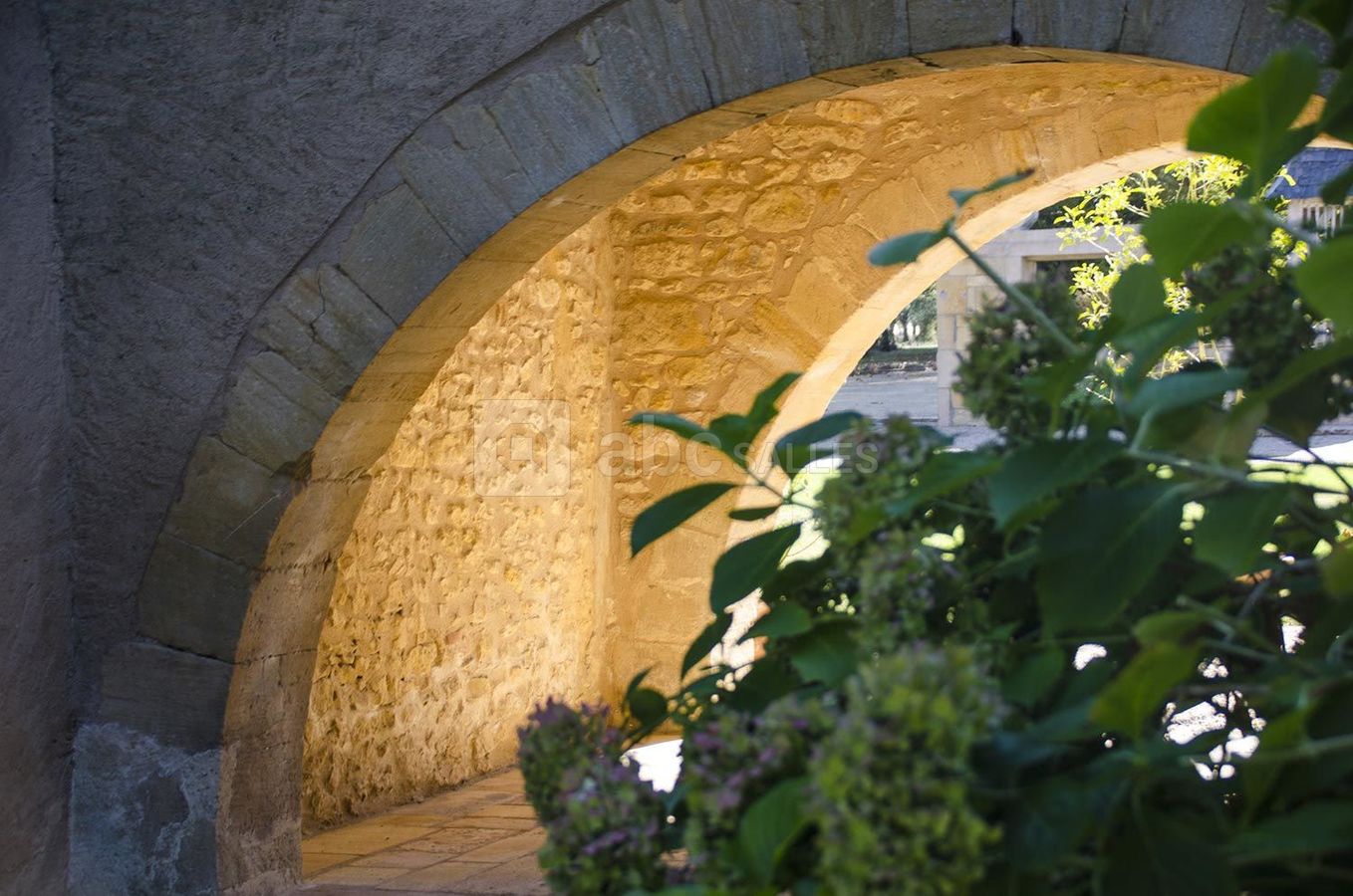 Chartreuse du Domaine de Pémejot