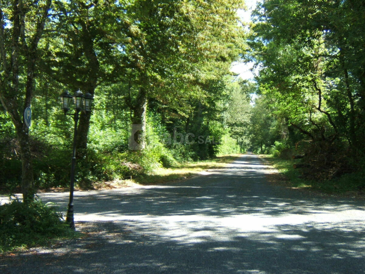 Allée du jardin