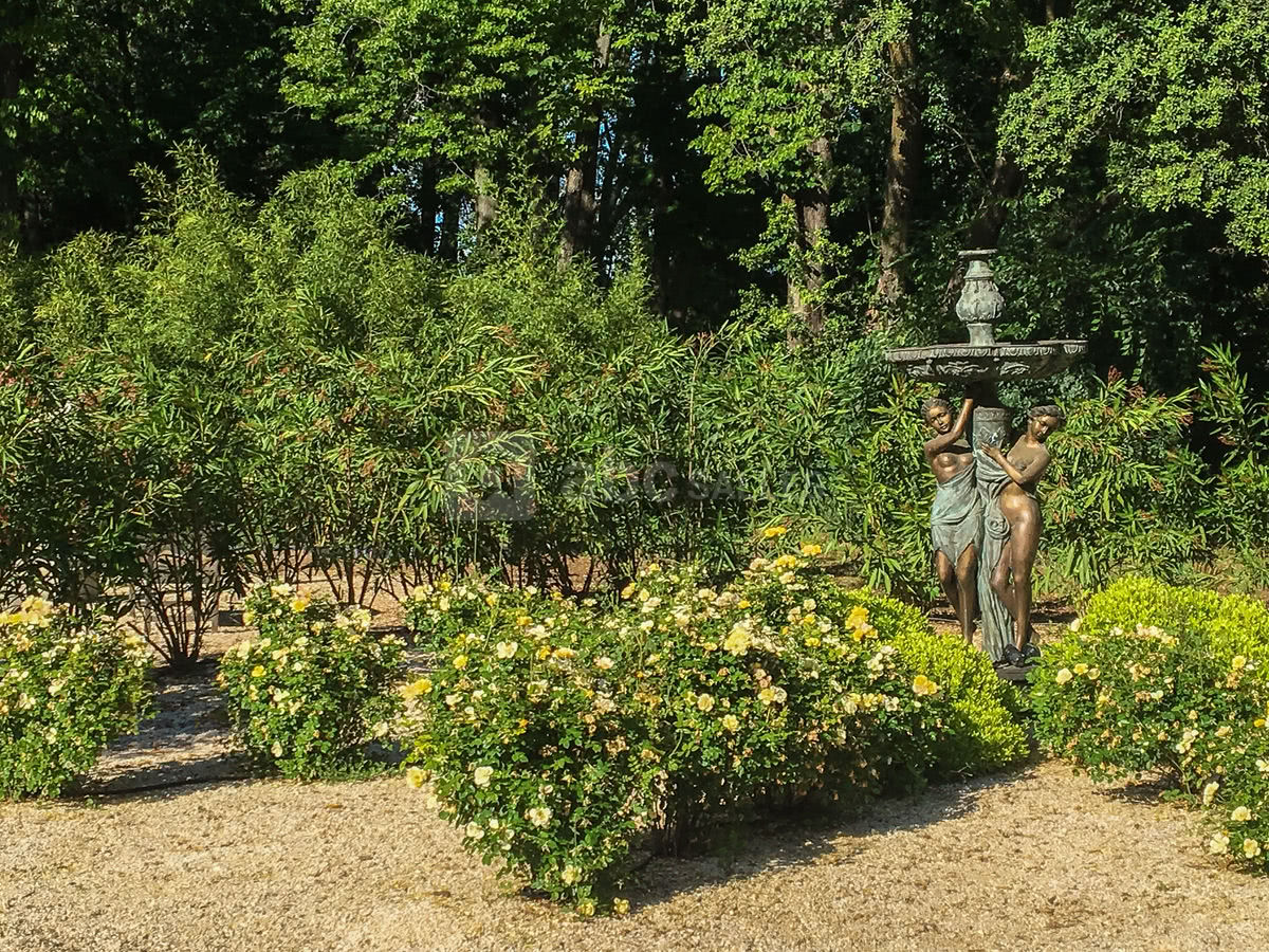 Une des nombreuses statues