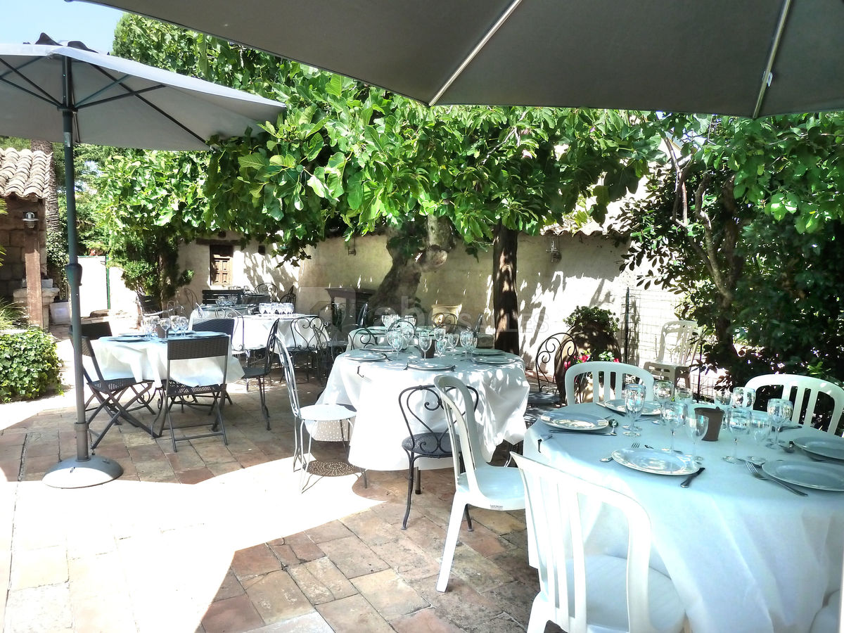 Brunch sous figuier centenaire près de la piscine