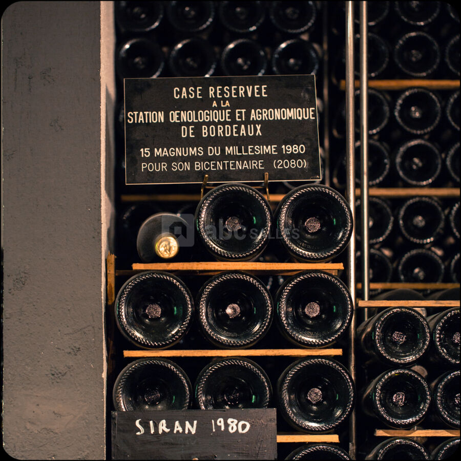 Bunker abritant vieux millésimes