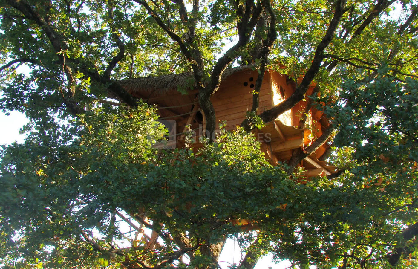 Cabane Infinie