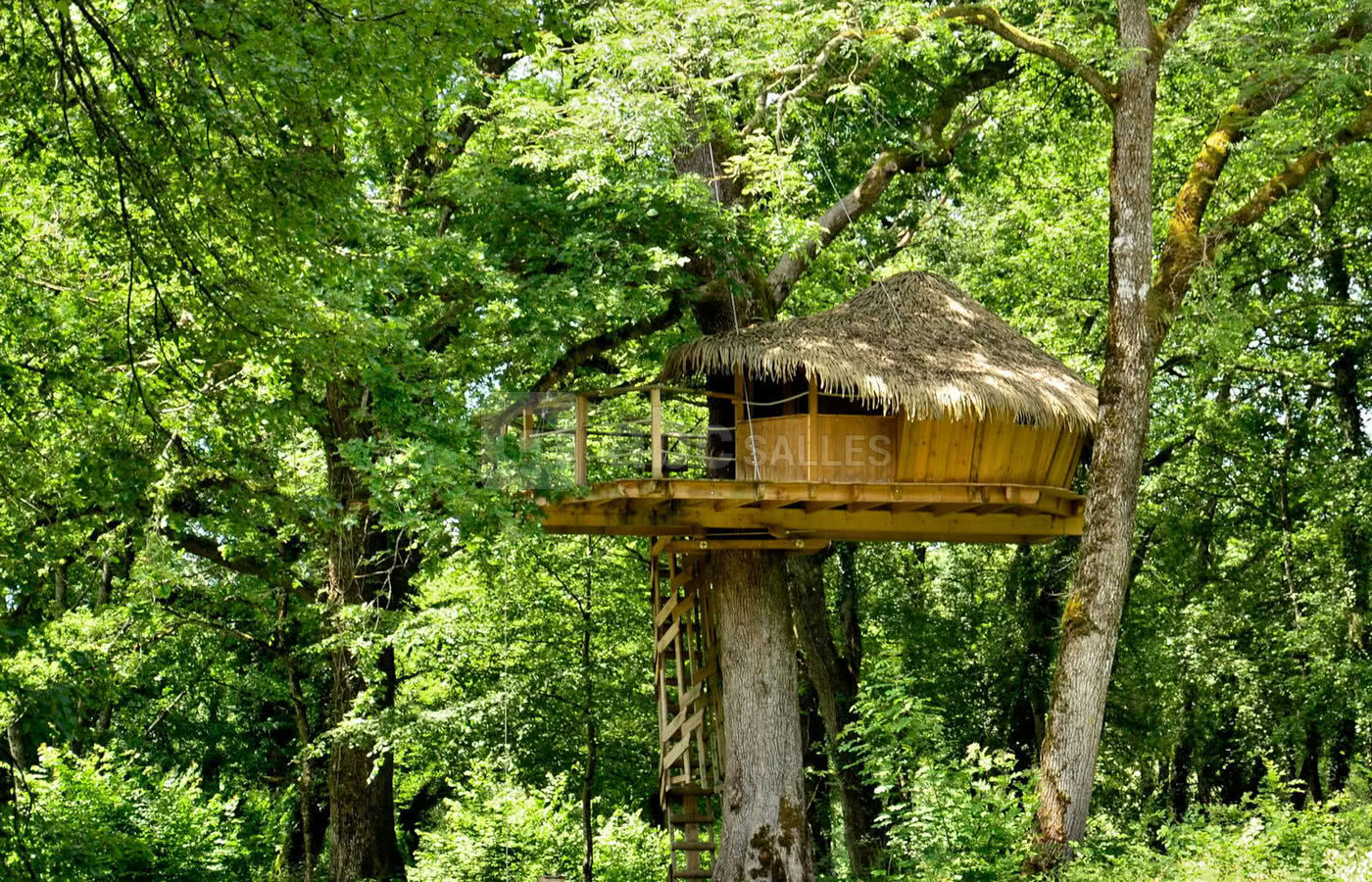 Cabane Murmures