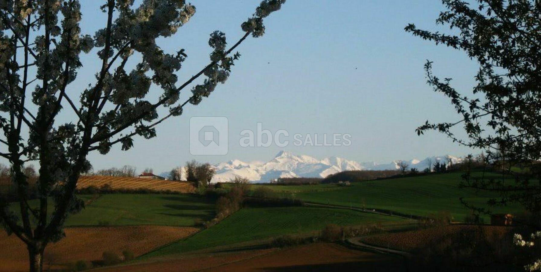 Vue de la terrasse