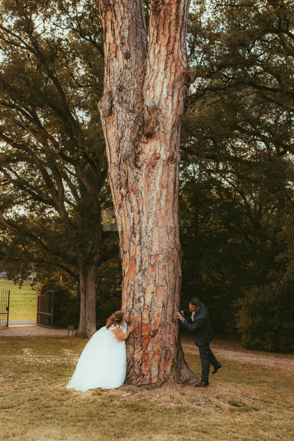 Le Domaine d'En Fargou