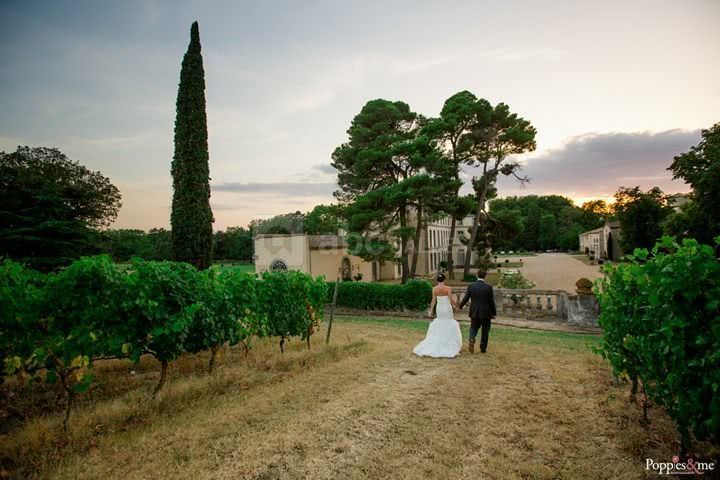 Vignes