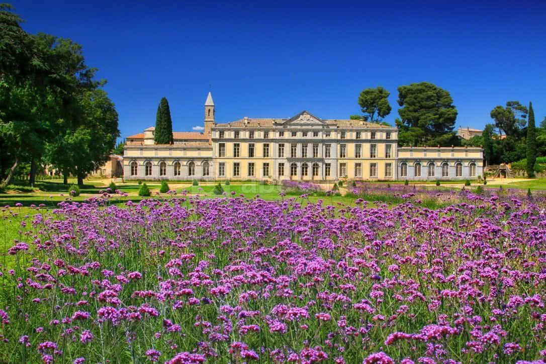 Vue d'ensemble sur le parc du château