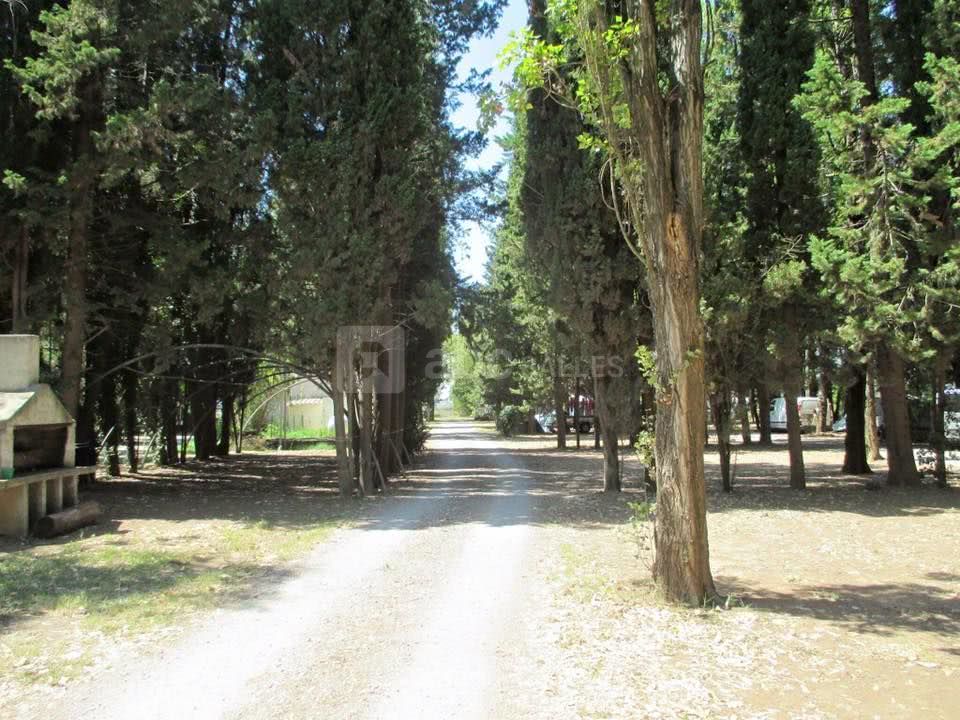 Les allées