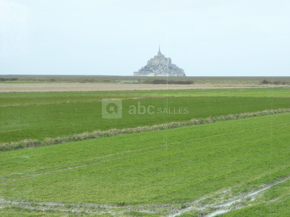 Vue imprenable sur le Mont Saint-Michel