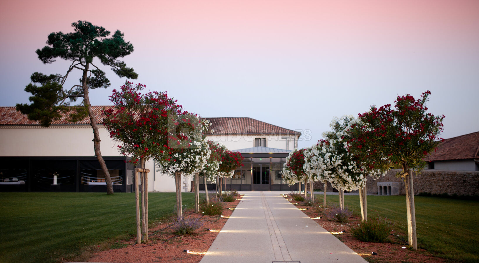 Domaine du Mas Neuf - Entrée