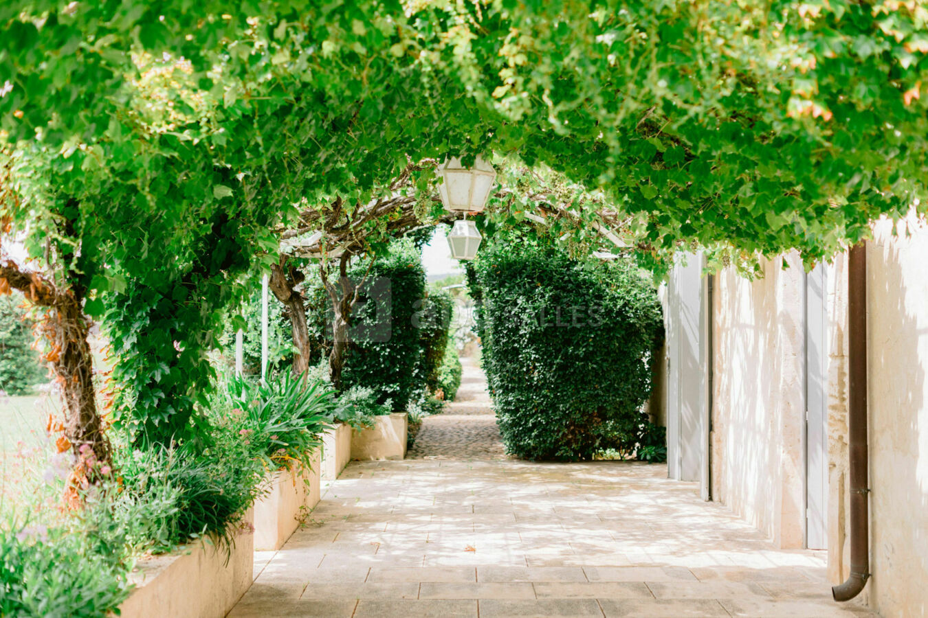 La pergola