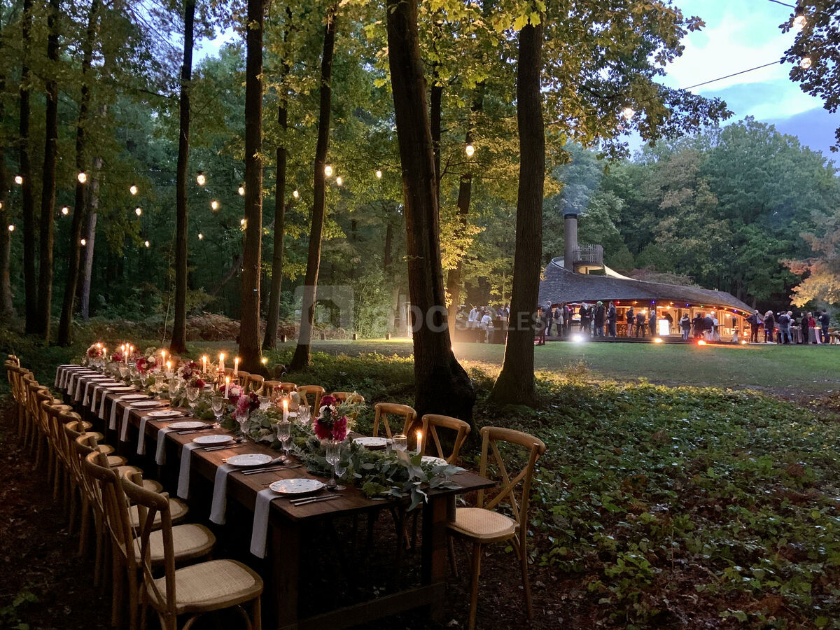 Mariage en forêt