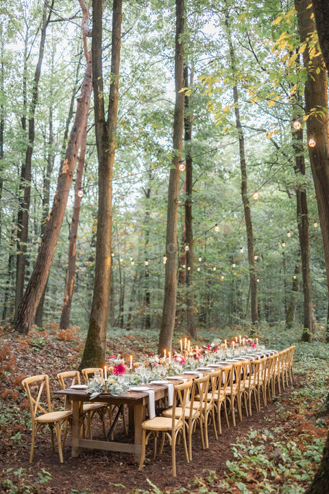 Diner en forêt