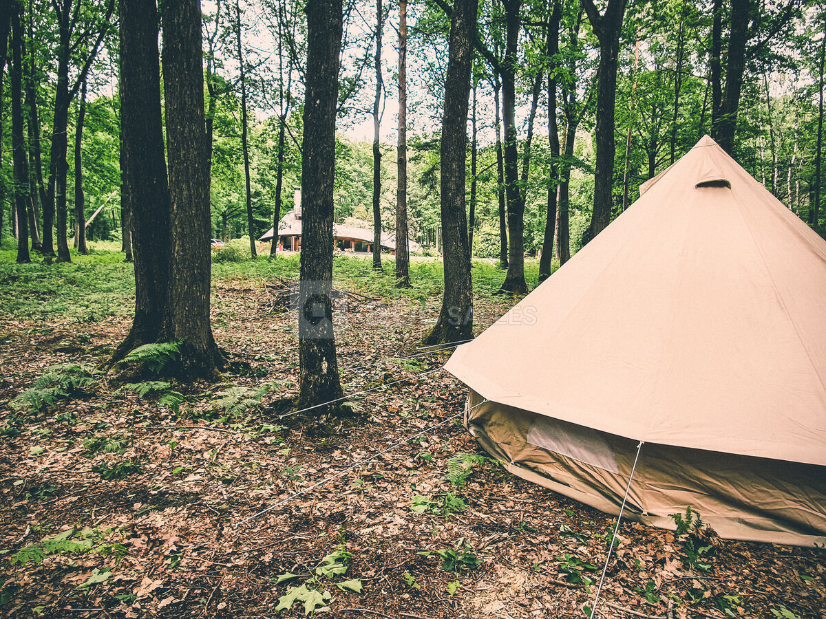 Survie en forêt