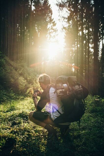 Survie en forêt