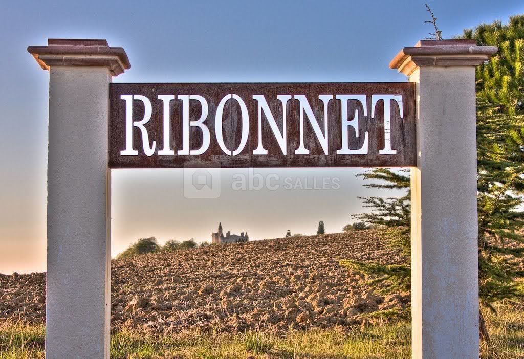Ribonnet