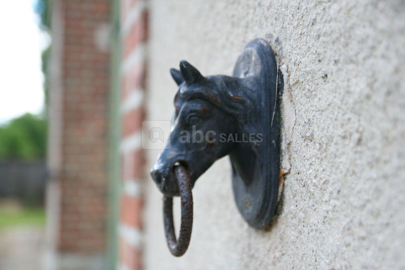 Anneaux de cavalier