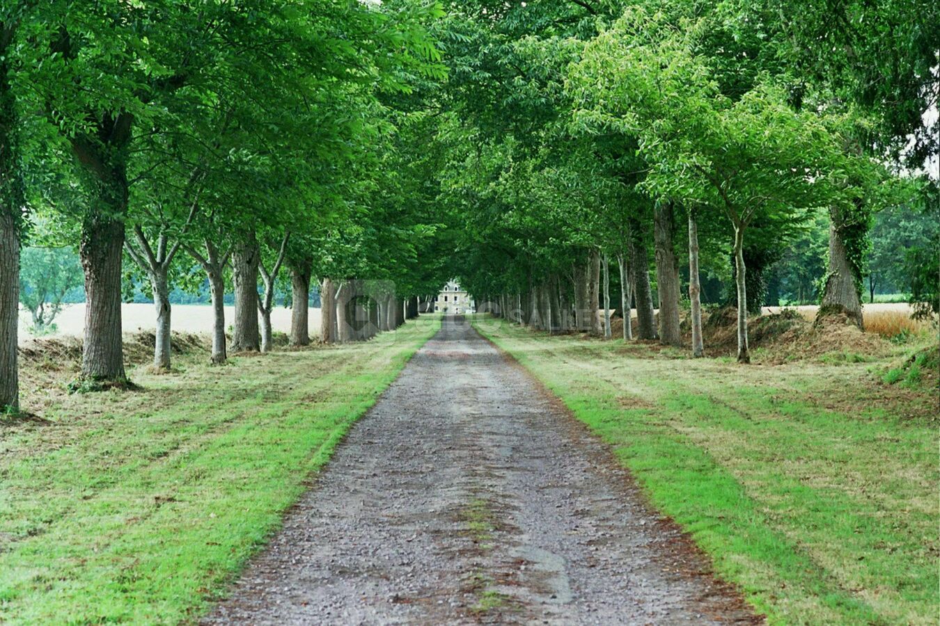 Allée