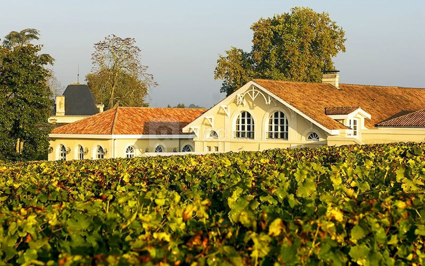 Château Larrivet HautBrion ABC Salles