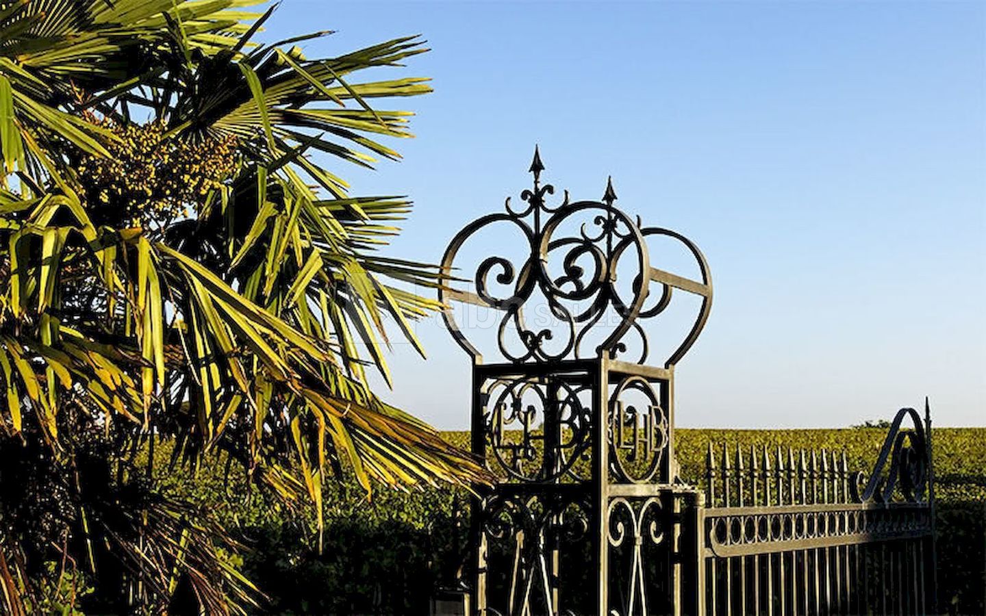 Château Larrivet Haut-Brion