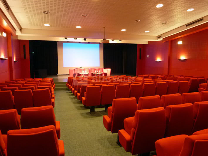 Salle de conférence 200 places (Espace Courbet)