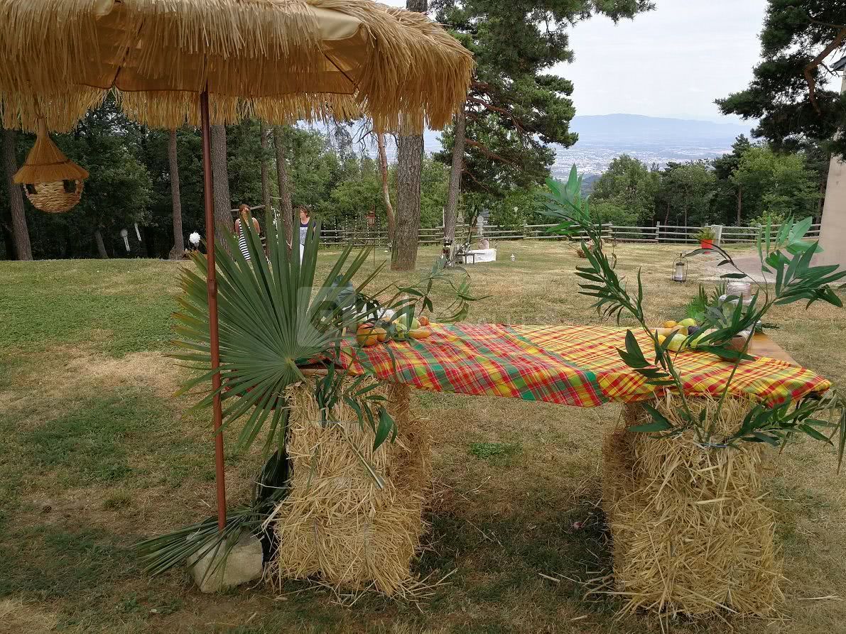 Vin d'honneur dans le parc