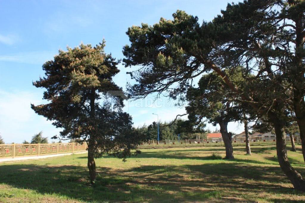 Le parc