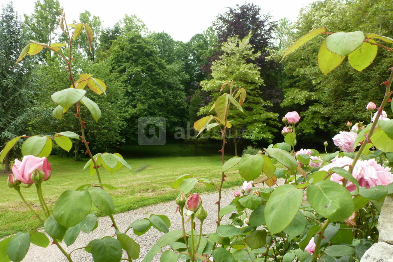 Jardin