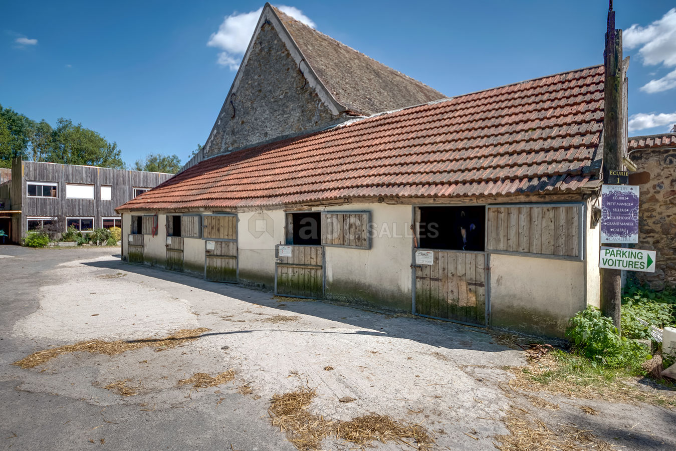 BOXES des chevaux